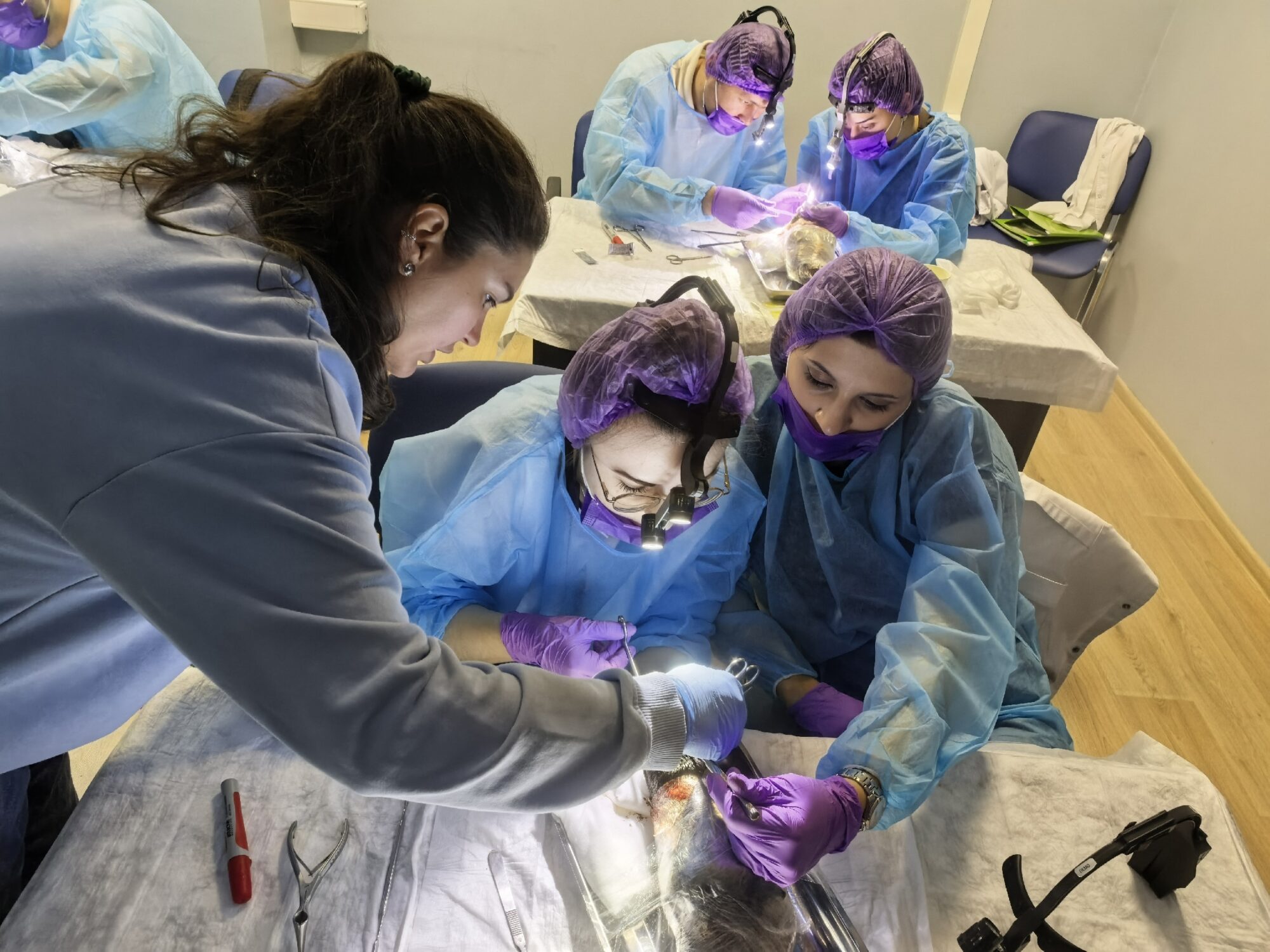 30 и 31 мая в АРИТ шедеврально прошёл курс по риносептопластике на голове барана